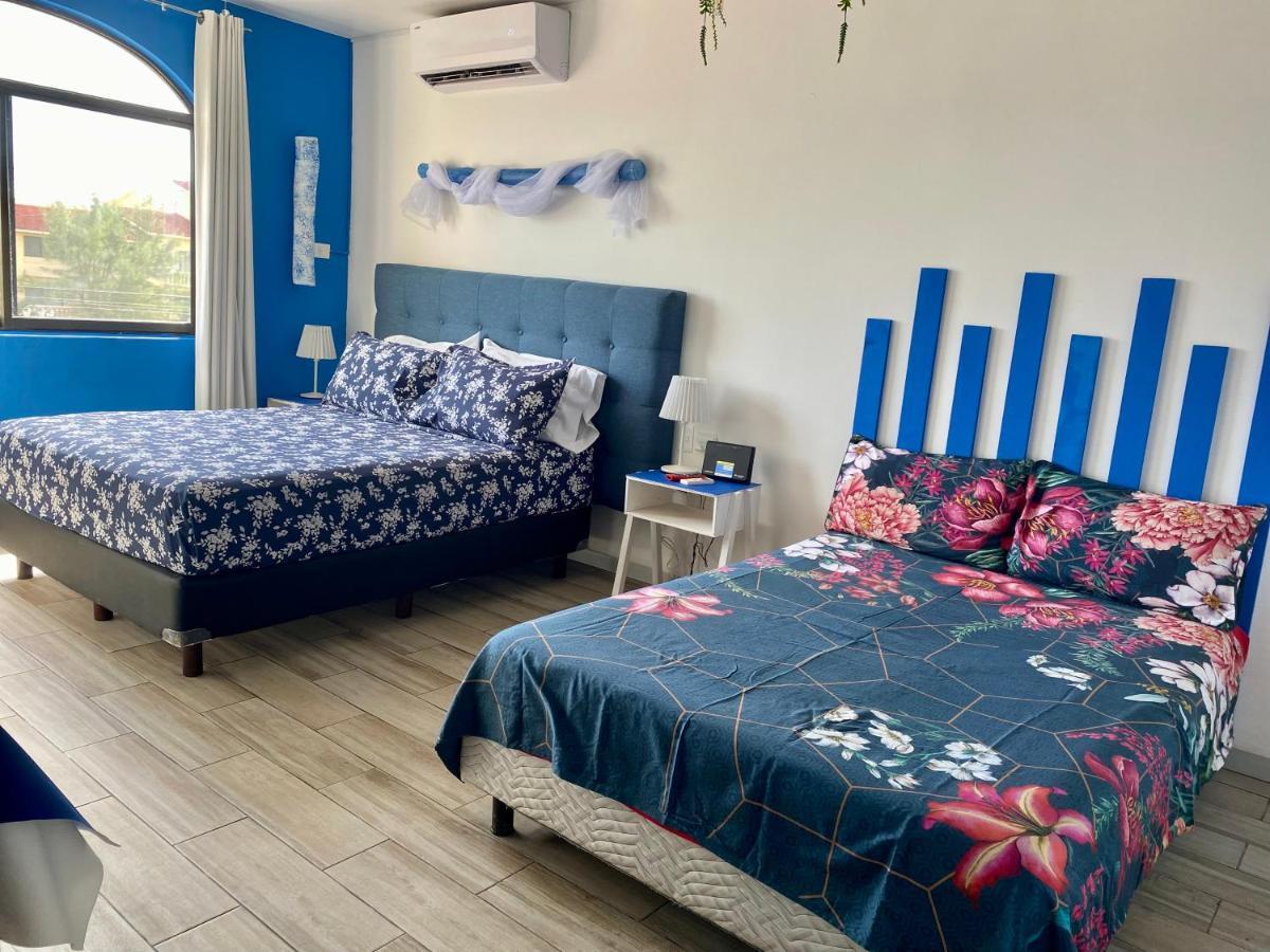 קנקון Tropical Apartment מראה חיצוני תמונה
